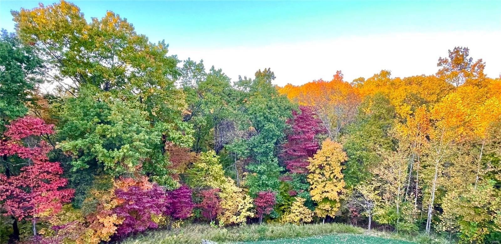 Homestead Estates At Wildwood - Residential