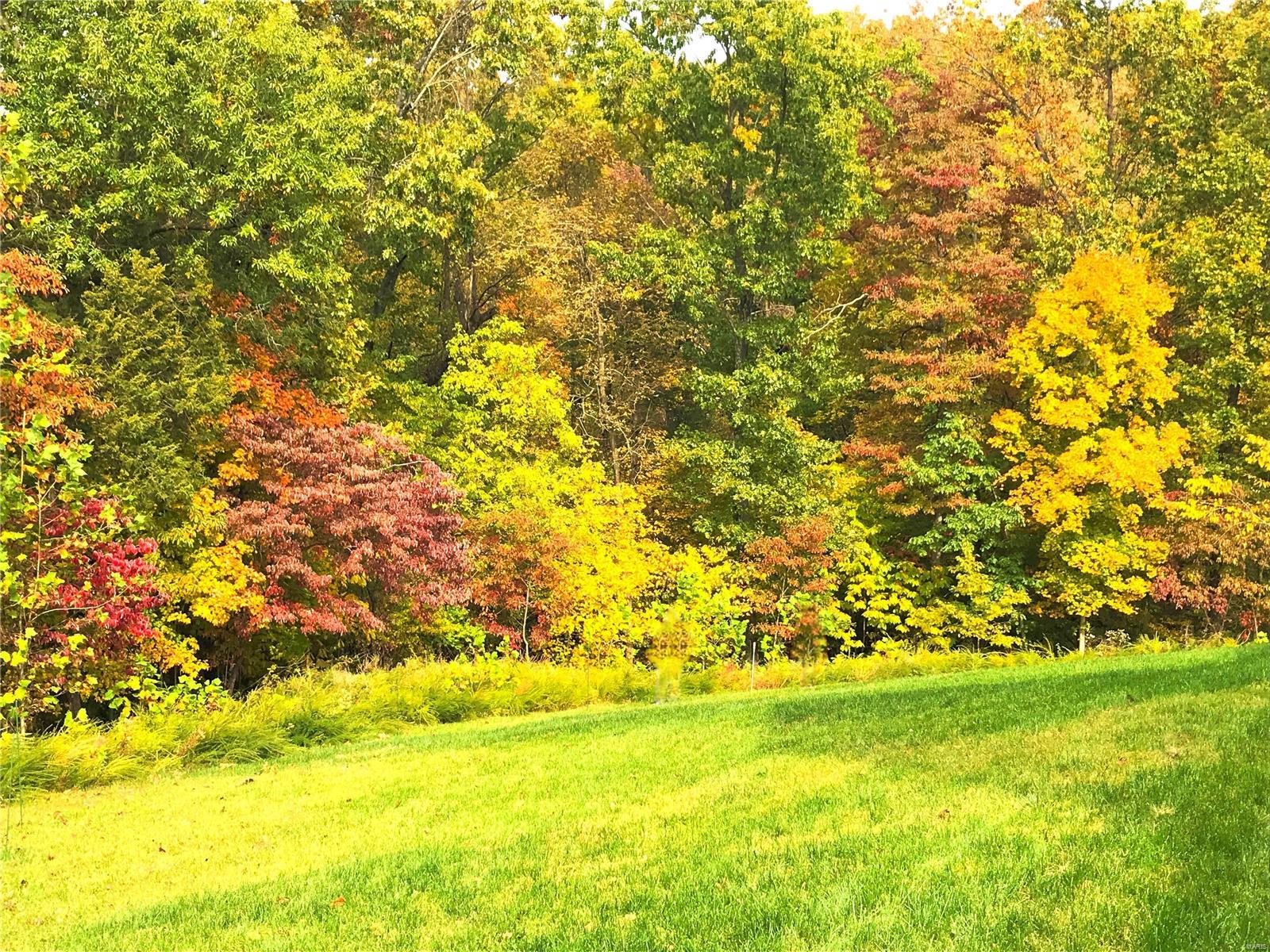 Homestead Estates At Wildwood - Residential