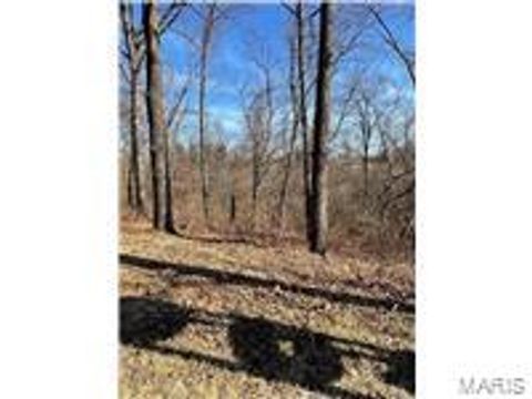 Photo of 0 Hwy 79, Louisiana, MO 63353 (MLS # 25020996)