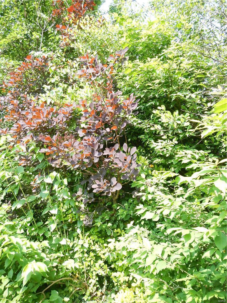 Chatelaine 3 - Residential