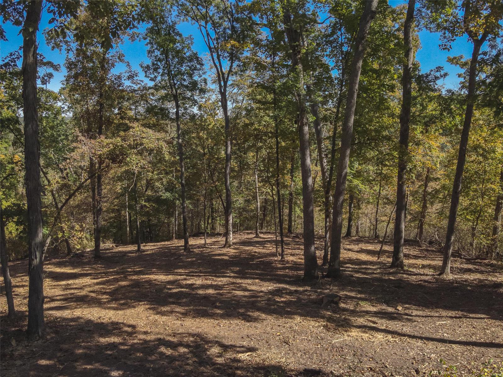 2842 Arbon Court Drive