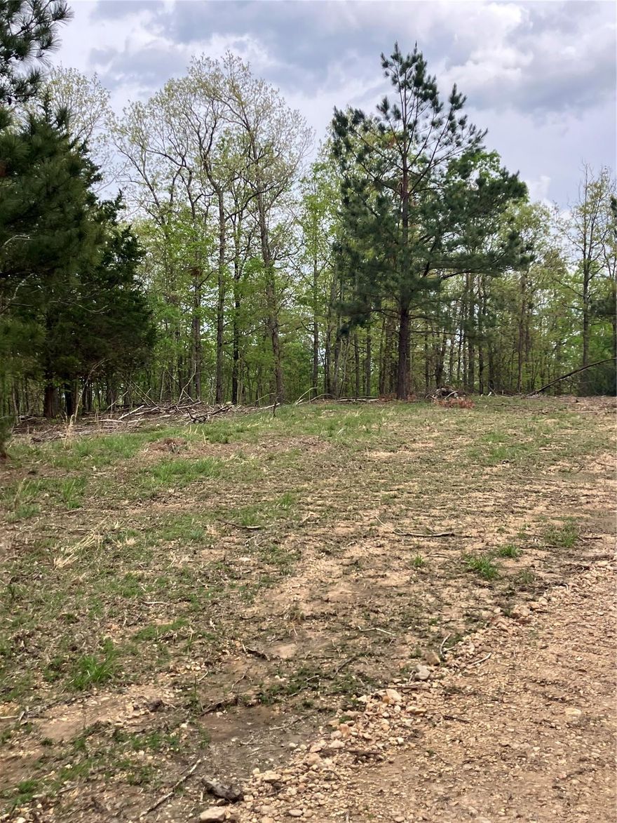 Wooded rural acreage with access to a shared spring-fed stream and within a mile of Mark Twain National Forest ... it doesn't get much better. It's a landowner's dream come true. 
This affordable Ozark oasis comes with NO restrictions. And there's a nice wide deeded easement gravel road leading from the county road to your property.
Hunt, camp, build, ride ATVs on your own land, or fish or play in the shared creek section. The opportunities are endless.
This property is wooded and rolling. You are within a mile of the 22,176-acre Mark Twain National Forest ... public ground where you can also hunt, ride and explore. All this, and only about 2 miles by road from U.S. 67 for quick and easy access.
Use this great 64 acres as a base camp for adventure. This and surrounding land is teeming with deer, turkey and small game, and the occasional feral hog or maybe a black bear. 
Ownership comes with access to a 3-acre shared stretch of the magnificent 12 Mile Creek and gravel bar.