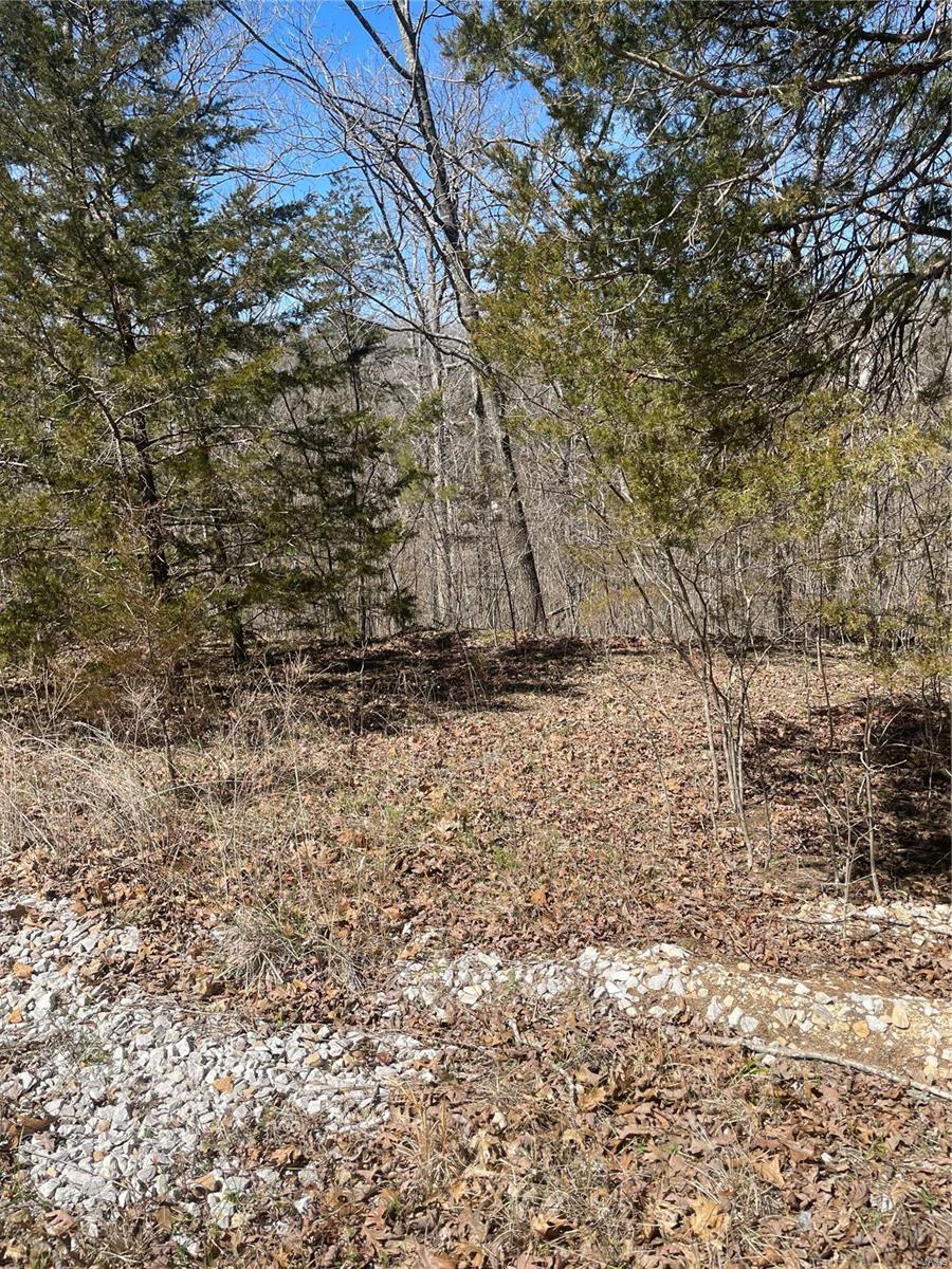 Pinnacle Lake Estates - Land