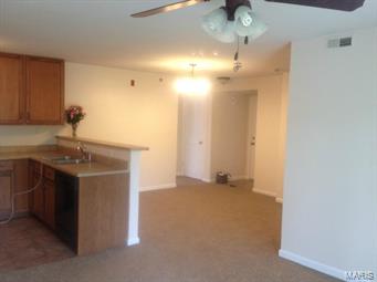 Brandy Mill Condo - Residential