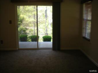 Brandy Mill Condo - Residential
