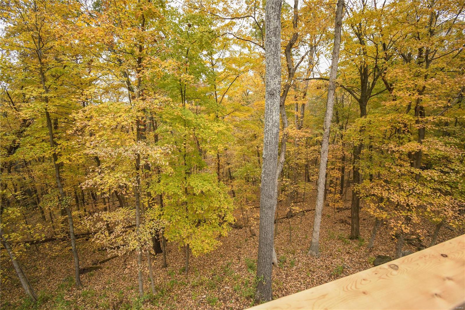 Rockwood Forest 1 - Residential