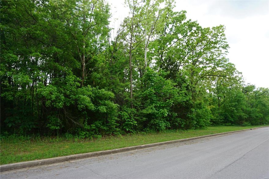These beautiful home sites are located inside the city limits in the University Park Subdivision.  They are conveniently located next to some great retail shopping areas, dining and I-44.  These lots have water, sewer and electric and are ready to build on.  Some restrictions do apply.
