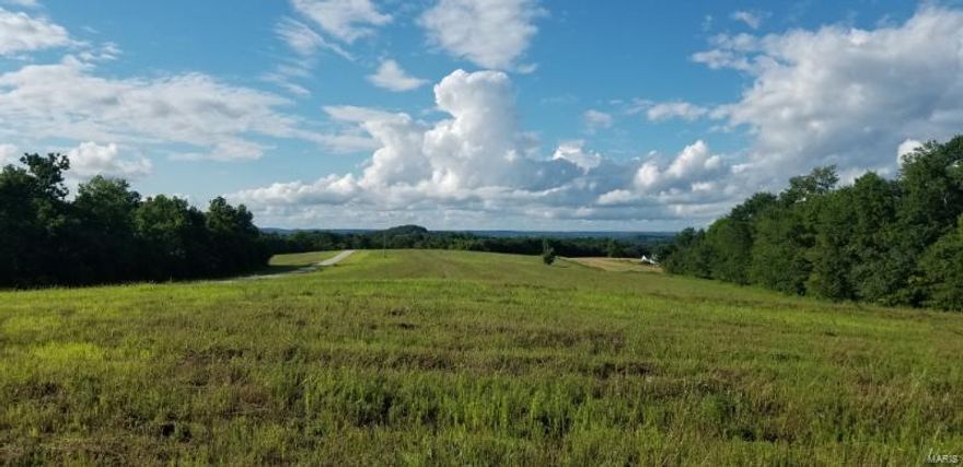 Welcome to White Owl Estates a premium development located in wine country with an easy drive to Washington and surrounding towns.  This once family farm served as a get away from the hustle and bustle of everyday life to a more serene lifestyle of yesteryear. White Owl Estates offers rolling hills, spectacular views and hidden adventures in the nearby woods. Experience the privacy you desire with the access to first-class schools, great shopping and a wonderful community. Enjoy cooking? How about a backyard BBQ with plenty of space for fun and games, gardening, watching wildlife or a relaxing night on the town with a diverse selection of nearby restaurants and other social venues.


This lot offers you 1) Five acres to call your own. 2) Spectacular 360 degree view. 3) Open space. 4) Subdivision covenants and restrictions 5) Minimum of 1600 square ft.(main floor).  6) Choice of your builder and plans arrange for your own private showing. Additional Rooms: In Platted Subdv.