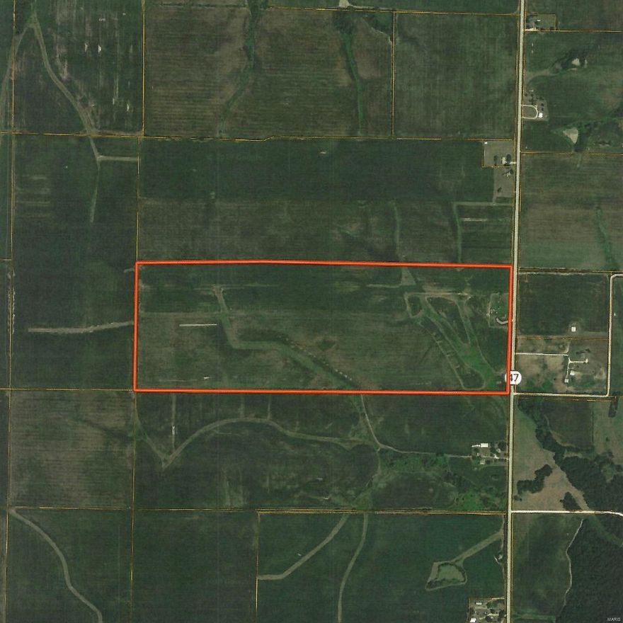 Tillable Row Crop Farm in East Central Missouri

131 Acre m/l row crop farm located along State Highway 47 between Warrenton and Hawk Point Missouri. 110 Acres m/l tillable composed of Mexico Silt Loam. Located just 8 miles north of Interstate 70 with more than 1350ft. of highway frontage. Well and Electric on property makes it perfect for homesite / hobby farm. This property is currently highly productive land that has future developement potential. Farm is one of 3 tracts we have available for sale for a total of 292 m/l acres.