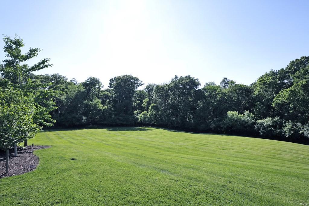 Over 4.5 acres! - Residential