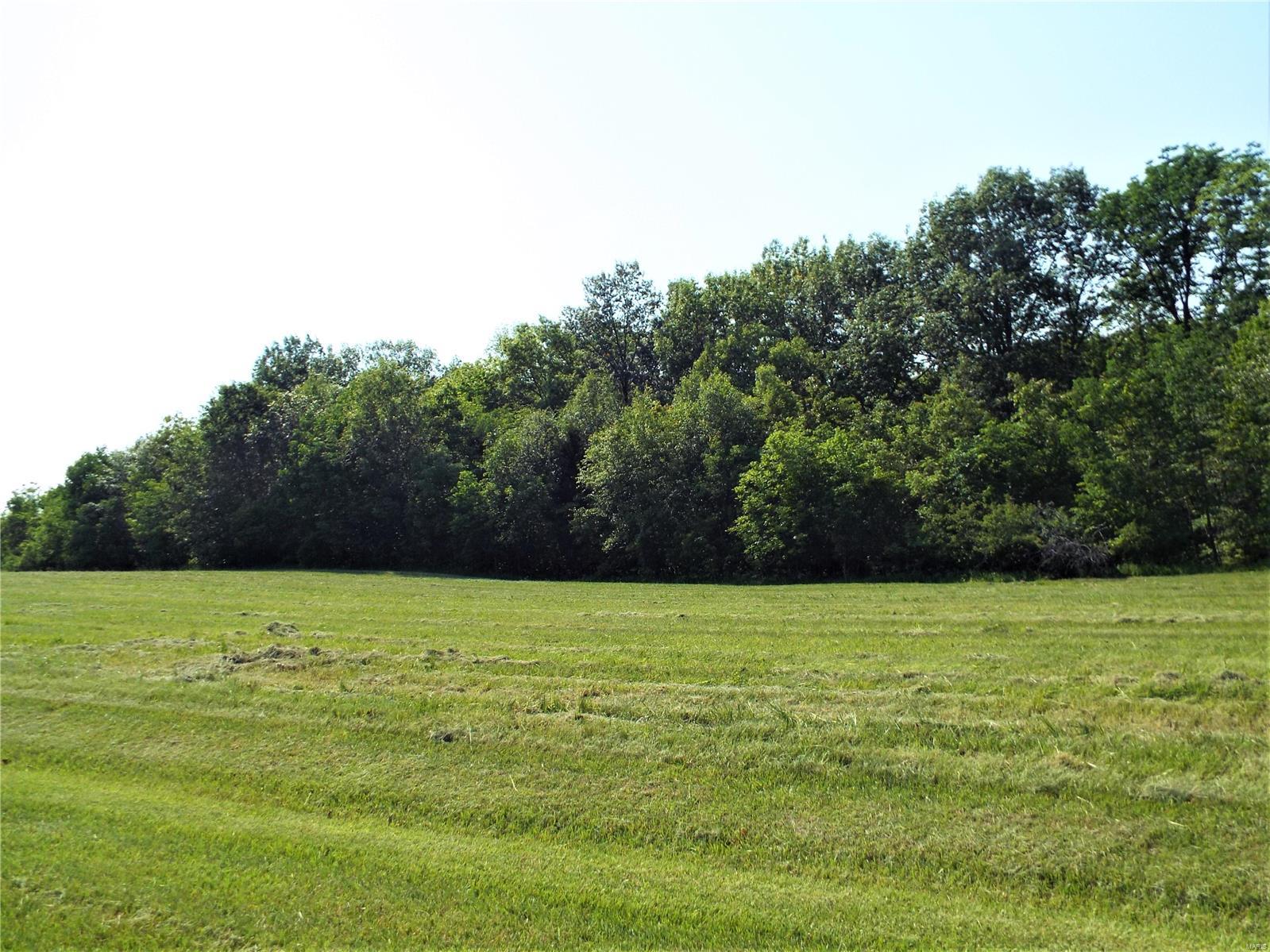 Bryant's Creek - Land