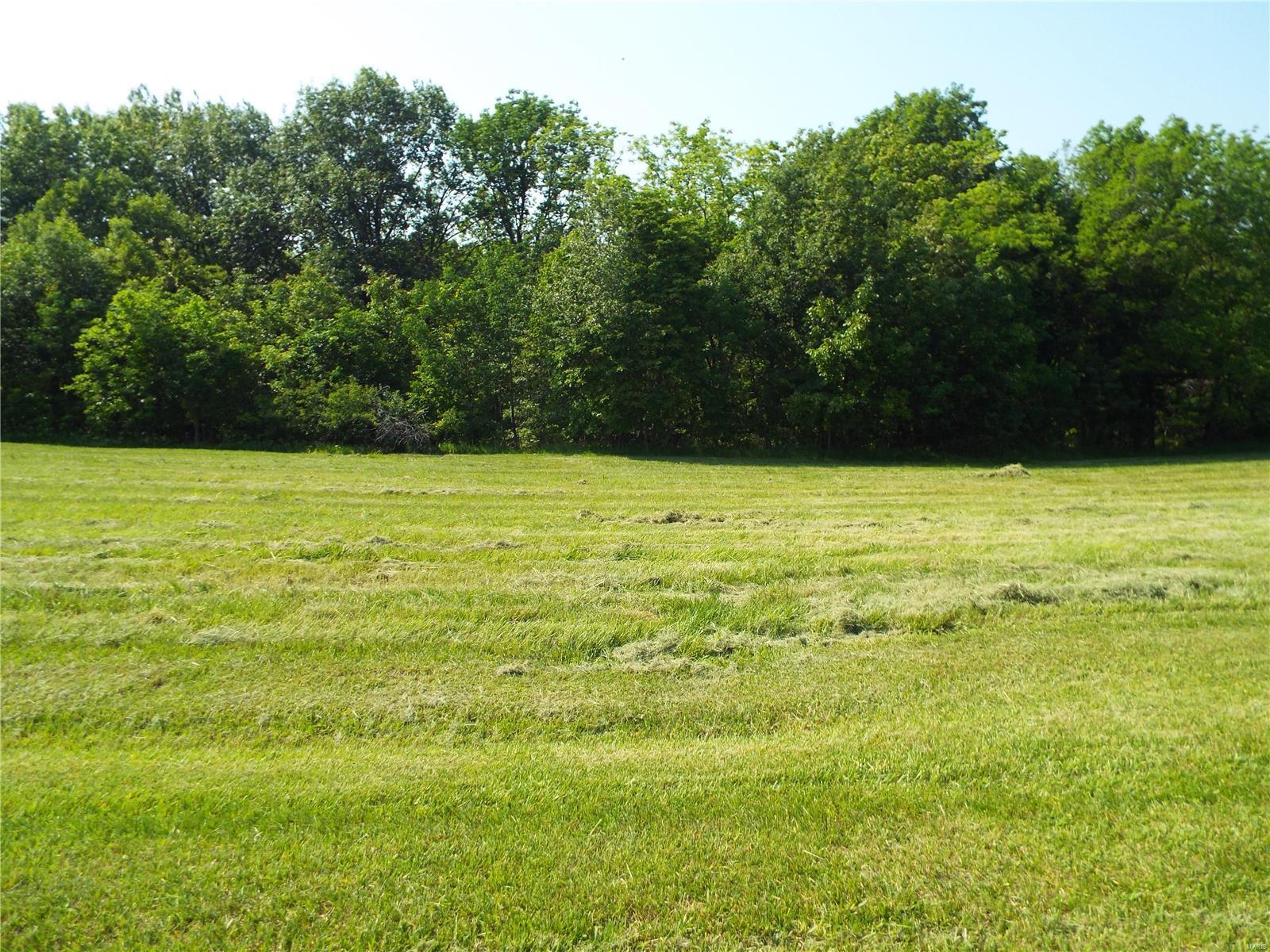 Bryant's Creek - Land