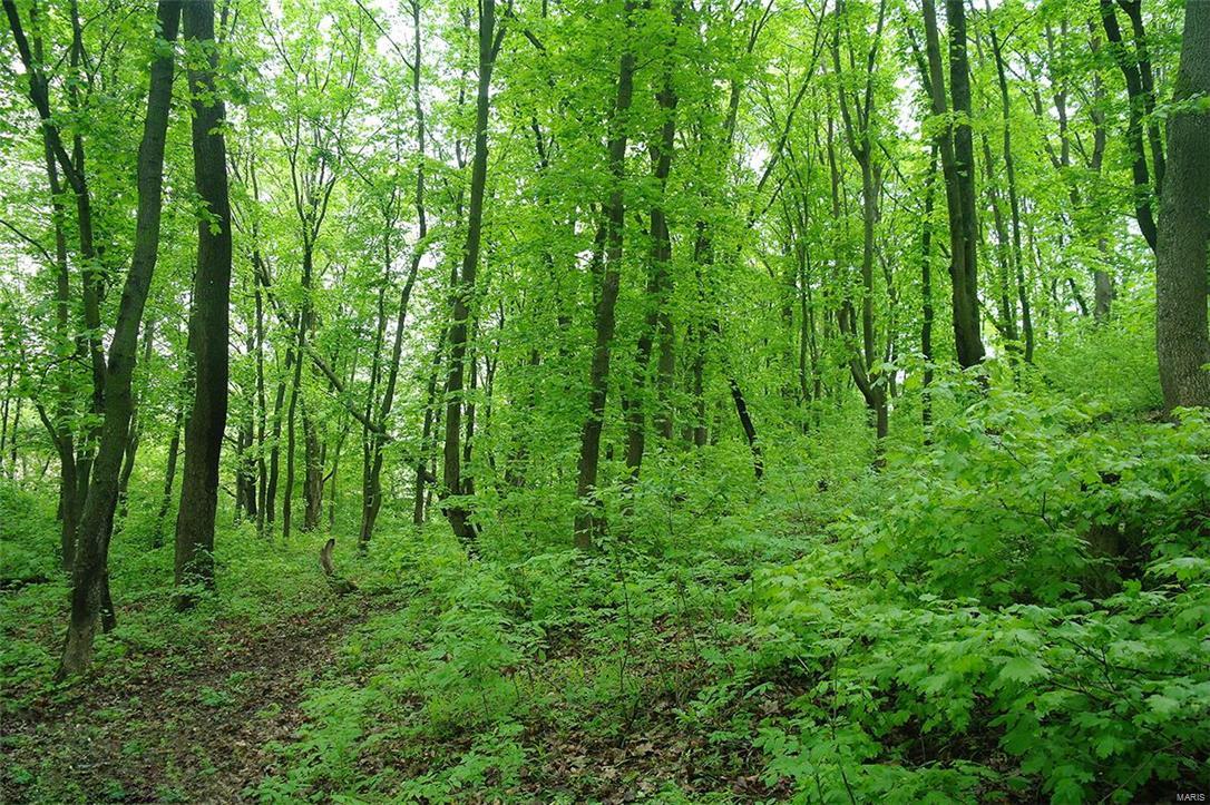 Castle Pointe Estates Lt 4 & Misir Lt - Farm