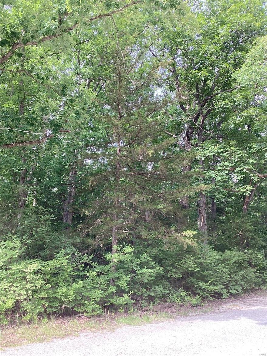 Wooded property with great homesites. Blacktop frontage. Restrictions are limited. 1.) The primary use of the property shall be single family residential 2.) Mobile homes are not permitted on the property including what is commonly referred to as double wide or modular homes. 3.) Swine (pigs) are no allowed on the property. 4.) Junkyards or the accumulation of junk, debris or trash are not permitted on the property. 5.) Vehicles or equipment kept outside of a building must be licensed or in working order. This is a new address that won't be in Google yet. Put in 2519 County Farm Rd Wright City Mo in your navigation. Agent owned