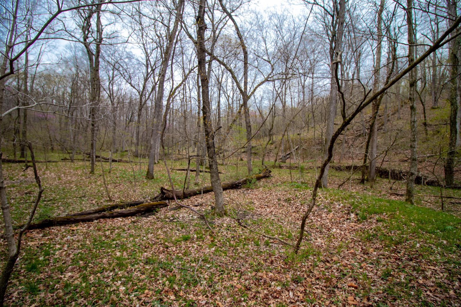 Pendleton Hills - Farm