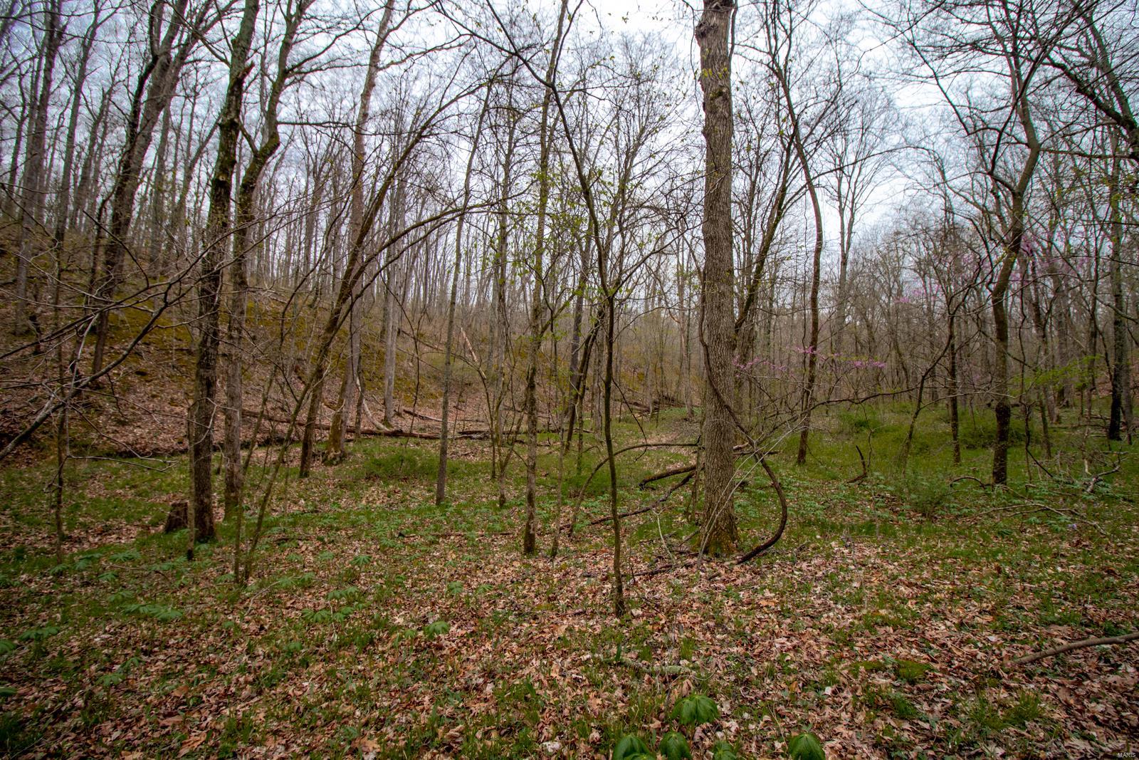 Pendleton Hills - Farm