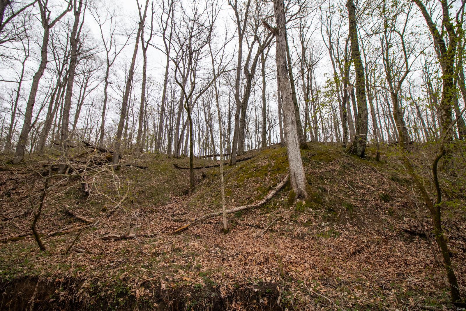 Pendleton Hills - Farm