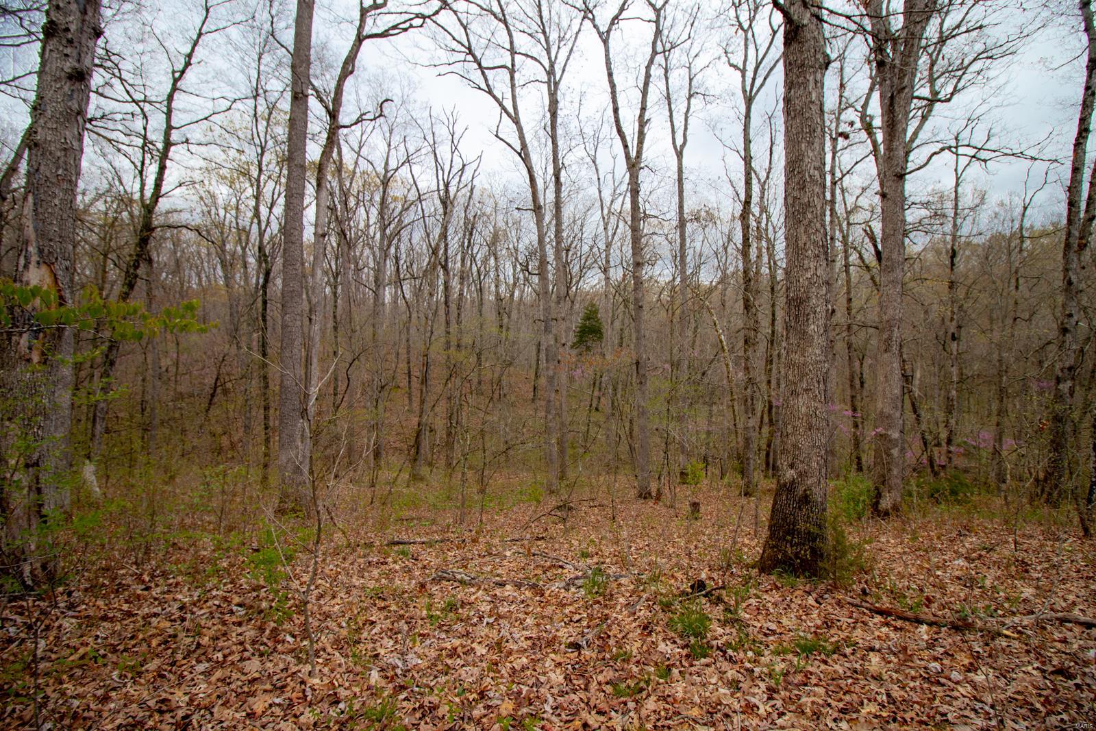 Pendleton Hills - Farm