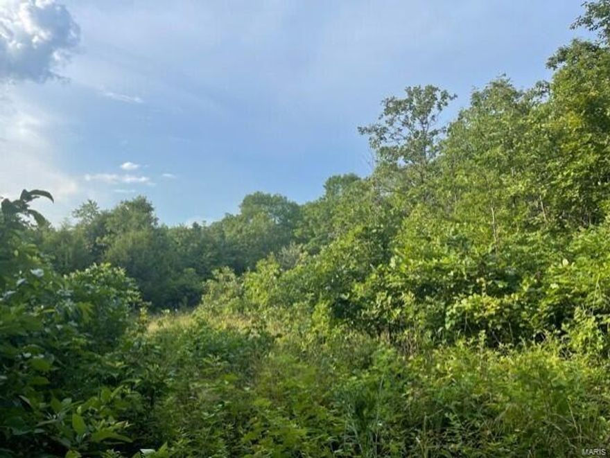Wooded vacant land in a private location just off state highway south of Norwood. This 28.9 Acres is Great hunting property per owner. Trails throughout the property. Good potential home sites. Electric not far away just across the road. Approximately 7.5 miles from Mtn Grove. Live in the Ozarks with no restrictions on your land! Additional Rooms: Other