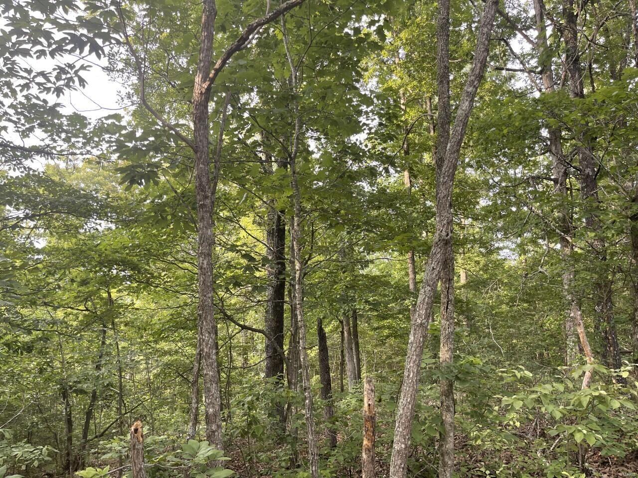 wright-not in list - Land