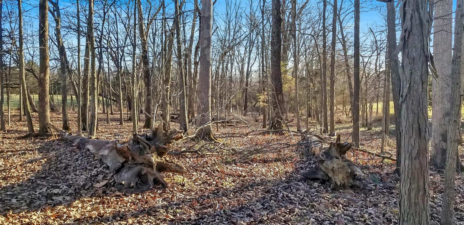 Windy Woods Subdivision - Land