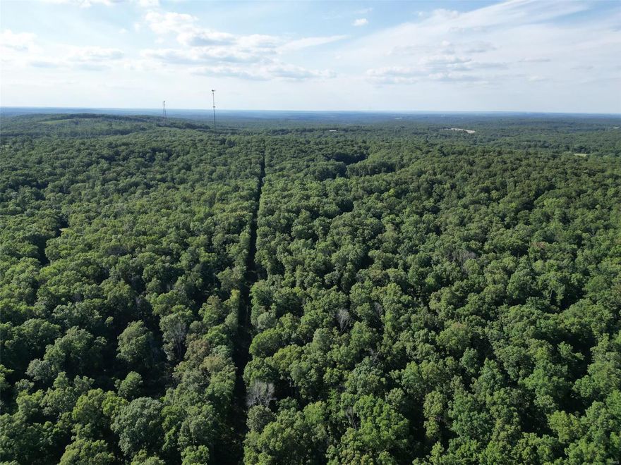 Great location! In between Farmington & Festus. 250 acres m/l all wooded  with creek running through it. Very private.