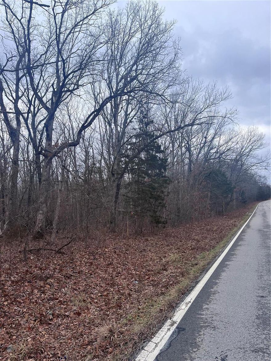 133 +/- acres in Warren County.  Wooded and road frontage on Stracks Church Rd. close proximity to Innsbrook and Long Row Lavender Farm.  No Restrictions!! Seller willing to sell in smaller tracts of 10 +/- acres minimum. PLEASE SEE LAYOUT OF SMALLER TRACTS IN SUPPLEMENTS.  ALL LOTS TO HAVE S. STRACKS CHURCH RD. FRONTAGE