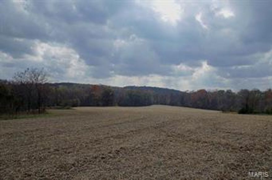 216 Acres “Elsberry”, Lincoln County, MO.  Located South of Elsberry, MO on Barrett Road lies this 216 acre combination farm.  The farm features 131 acres of timber & scattered woods, 70 acres tillable creek bottom, and 15 acres pasture.  A two-story vintage farmhouse sits stately on top of the ridge overlooking the property along with a Machine Shed and outbuildings.  Sugar Creek meanders through the center of the farm with stone bottom draws off the bluff creating natural pathways for that Trophy Buck or Big Tom Turkey.  Also, there is a cedar meadow and a number of water holes on the property for wildlife.  This combination property with income has it all for the avid sportsman, nature enthusiast, permanent residence or weekend getaway.  Only 45 minutes from the St. Louis Metropolitan area. $1,134,000/$5,250 per acre