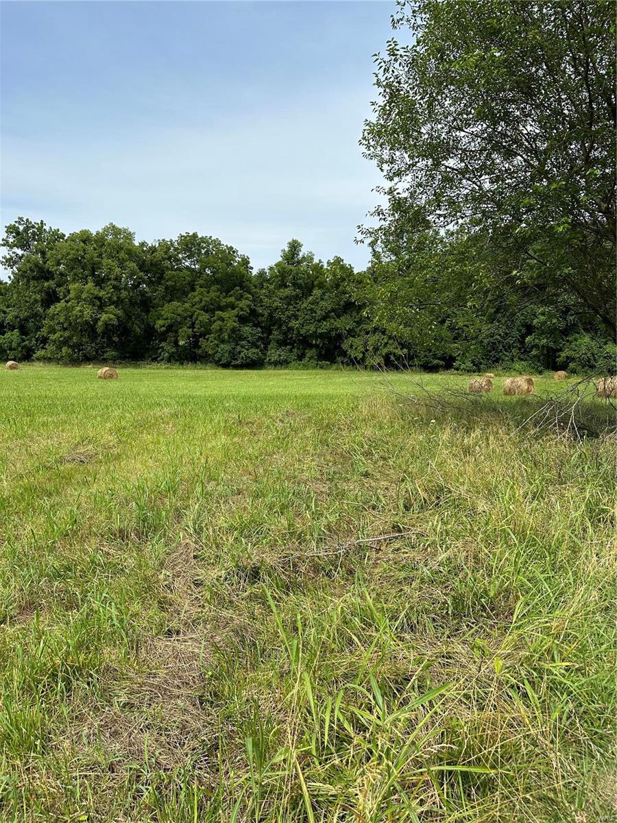 Barnhart, Missouri 63012, United States, ,Residential,Active,51407