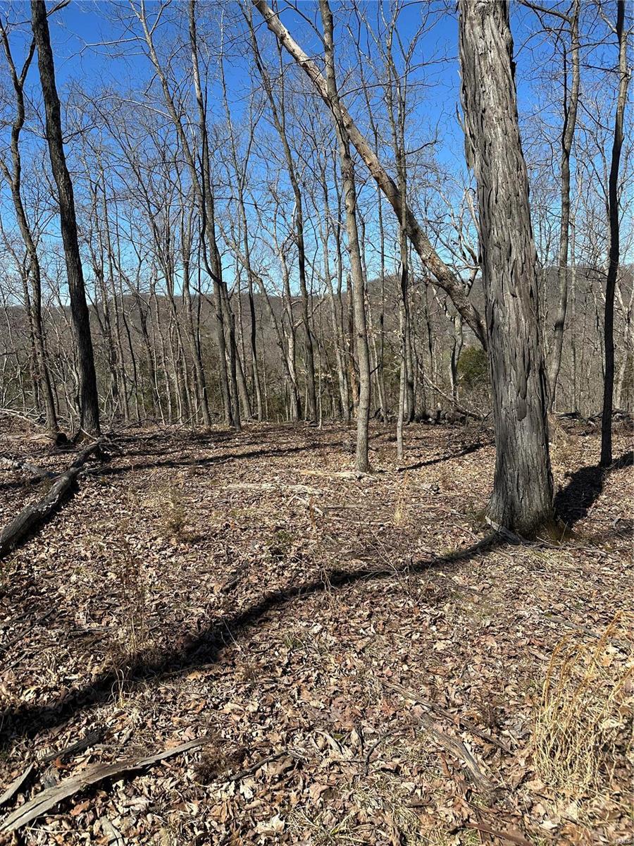 Barnhart, Missouri 63012, United States, ,Residential,Active,51407