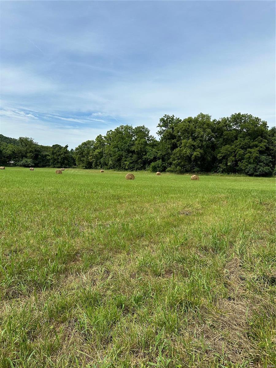 Barnhart, Missouri 63012, United States, ,Residential,Active,51407