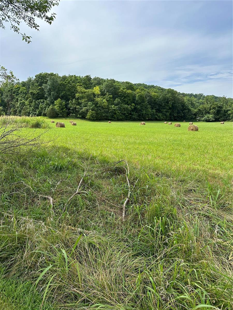 Barnhart, Missouri 63012, United States, ,Residential,Active,51407