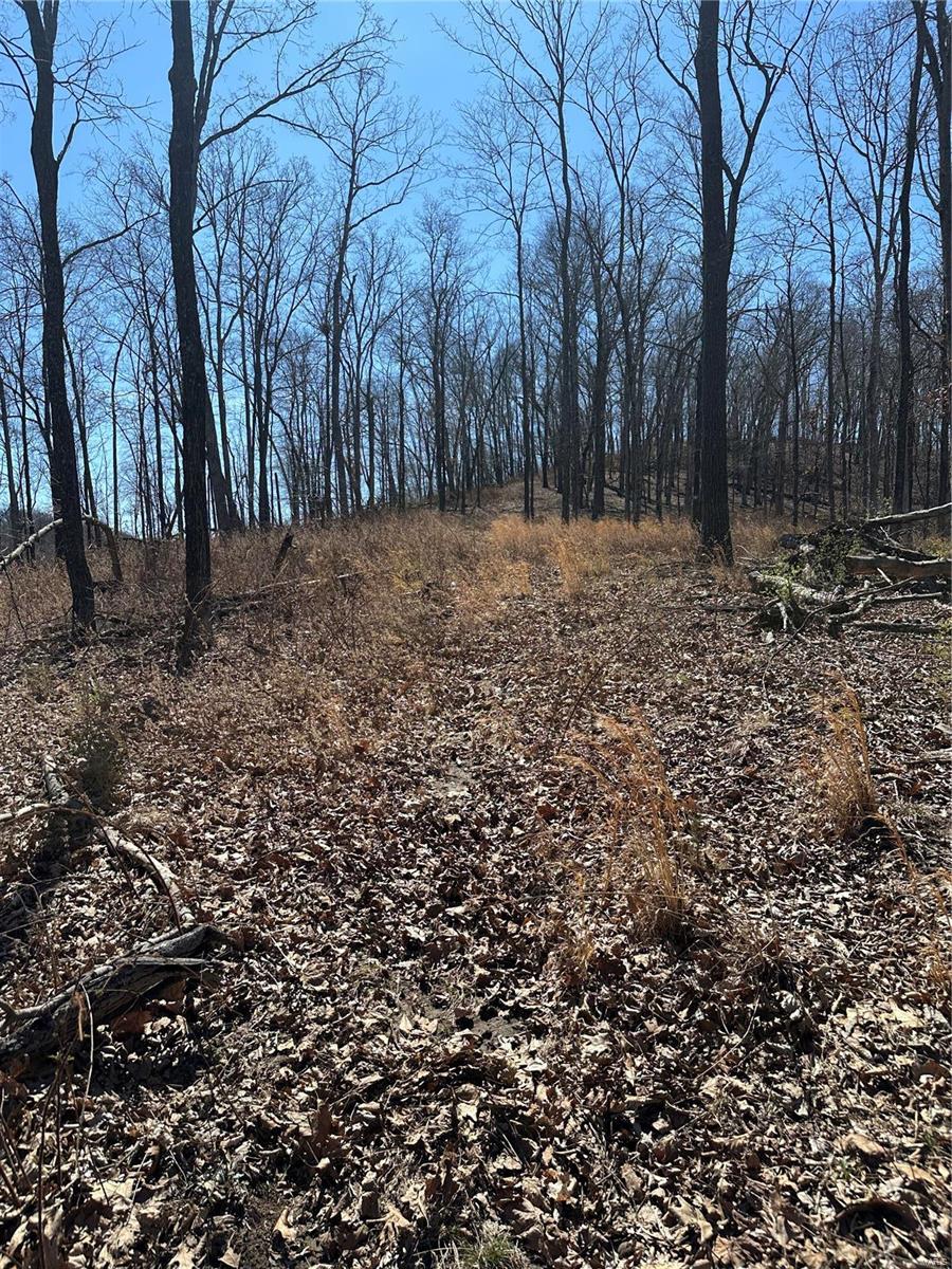 Barnhart, Missouri 63012, United States, ,Residential,Active,51407