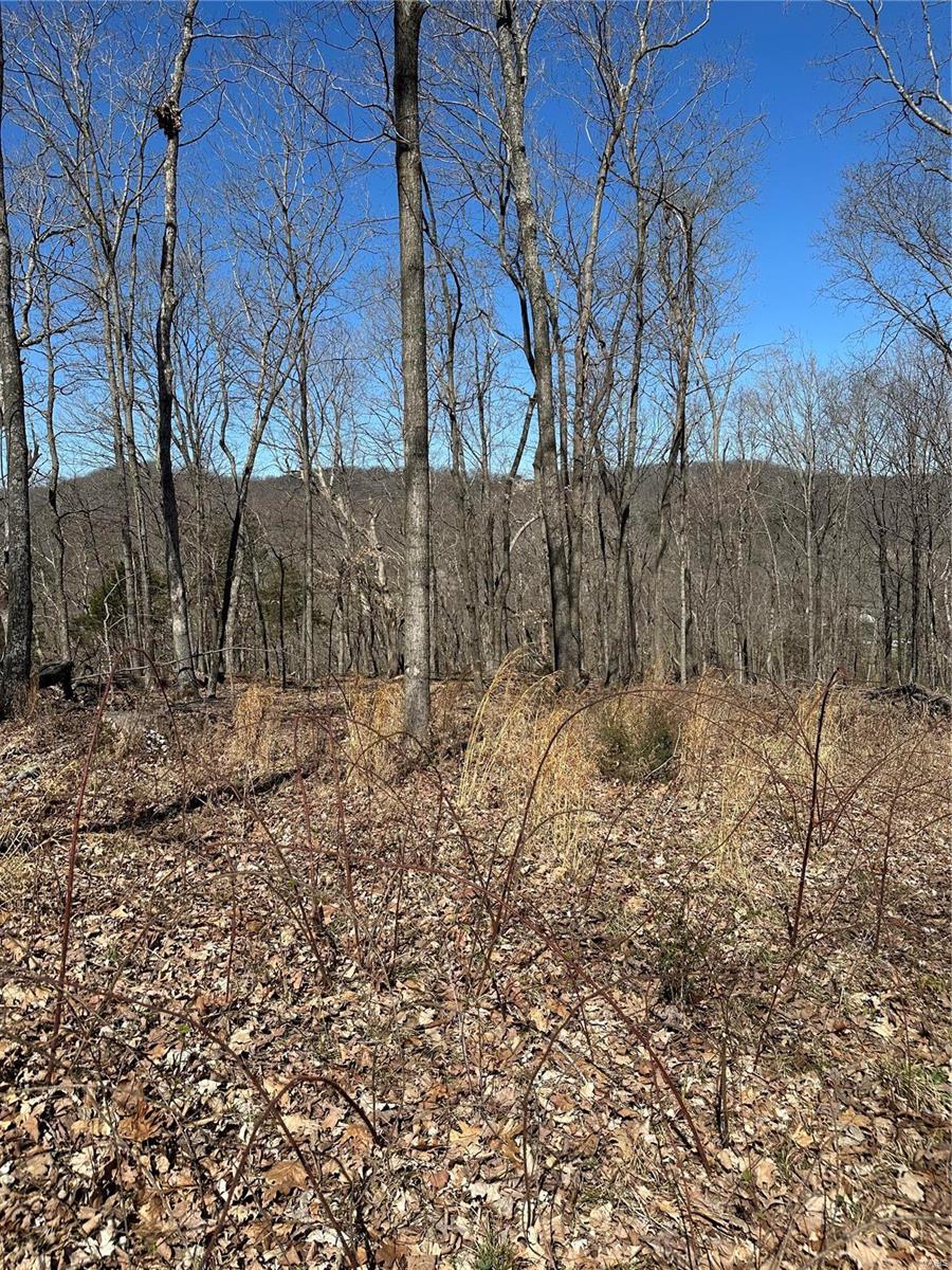 Barnhart, Missouri 63012, United States, ,Residential,Active,51407