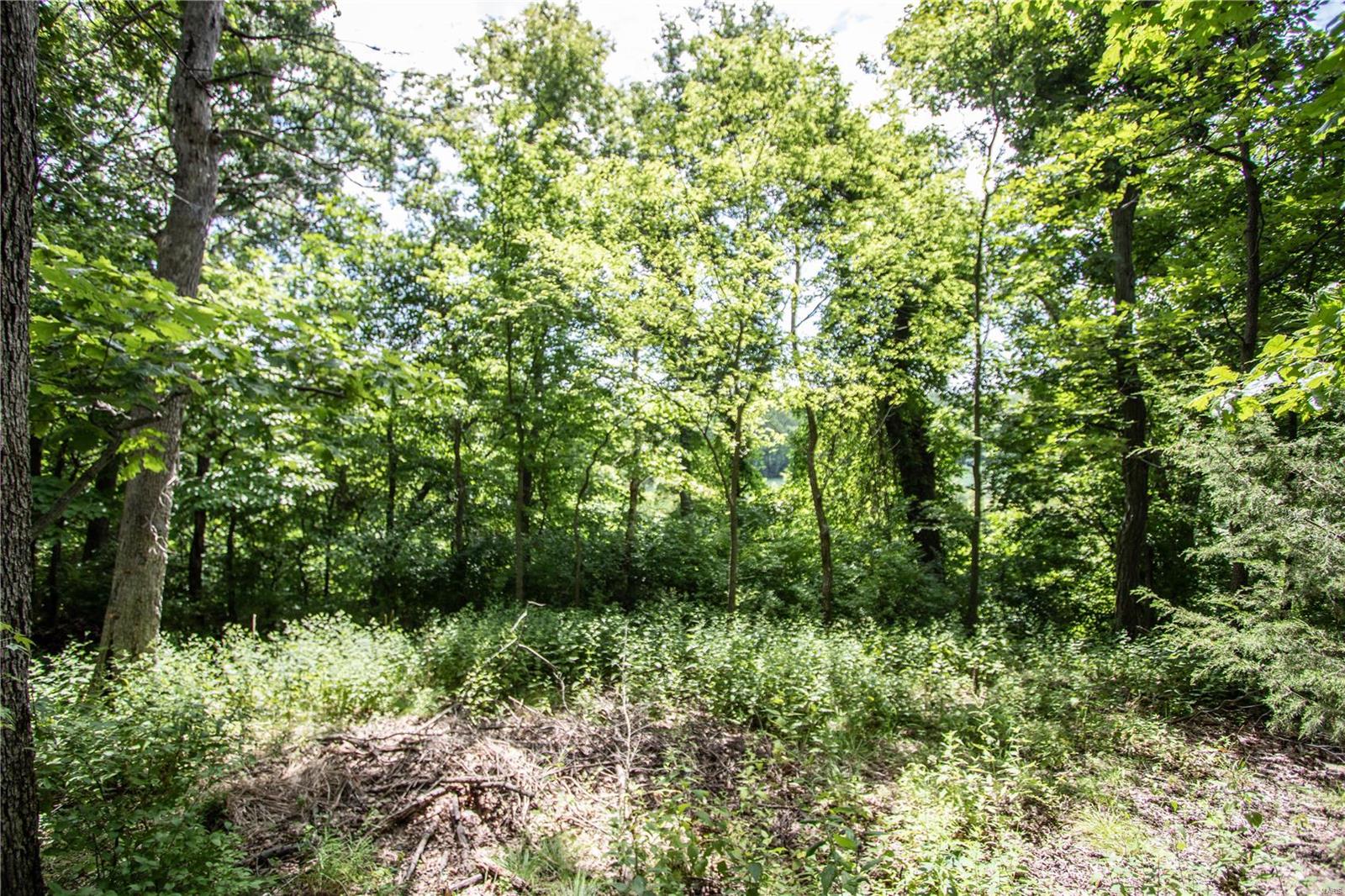 Manors at Austin Ridge - Residential