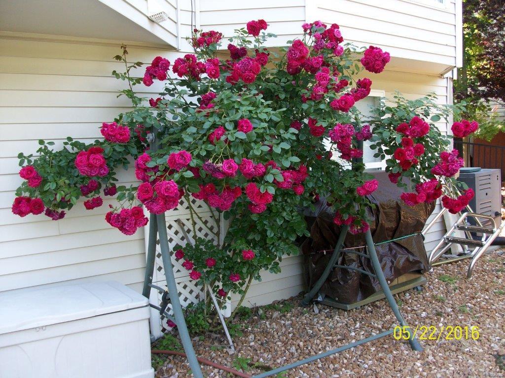 Villages At Waldon Pond - Residential