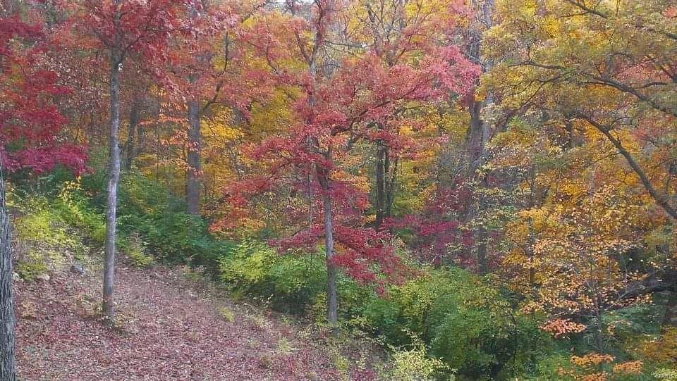 Autumn View Estates - Residential