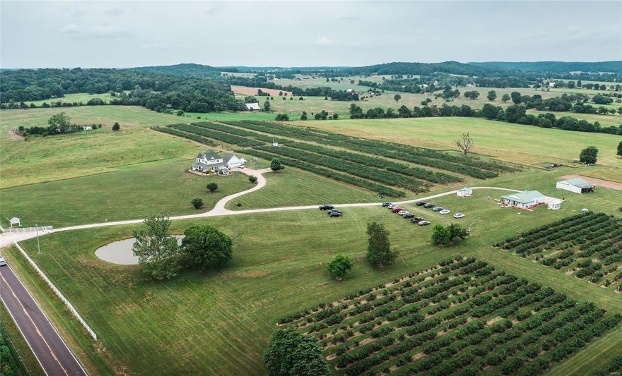 A true Farmington icon, Liberty Blueberry Farms has been an essential family summer destination for 30+ years. This well established business is one of the largest blueberry farms in Missouri. Top of the line facilities keep this farm running smoothly all through picking season, including a large shop equipped with everything you'll need to hit the ground running, as well as an in ground irrigation system that runs throughout all of the berry patches, all run by eco friendly solar panels. The true eyecatcher driving up to the property is the gorgeous farmhouse that stands tall above the farm. This 3700+ sq ft residence boasts an old charm rarely found in newer homes, including beautiful hardwood flooring, Tiffany chandeliers, crown molding, and french doors. The kitchen features granite countertops, a commercial fridge, built in espresso maker, double wall ovens and more. In the summertime be sure to take a dip in the luxurious in-ground pool. This is a once in a lifetime opportunity.