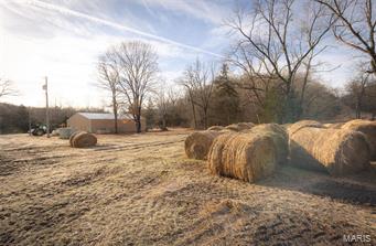 N/A - Farm