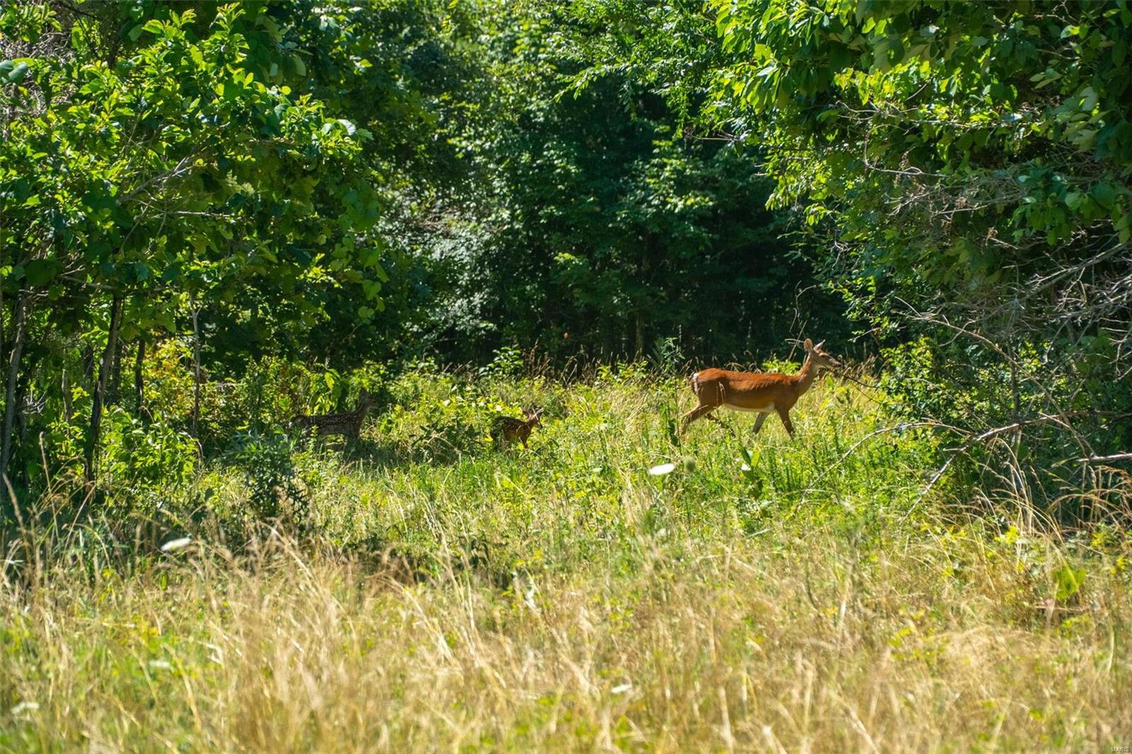 non-subdivision - Farm