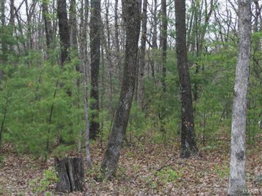 Wooded lot with  paved roads and public water. Build your custom home here.