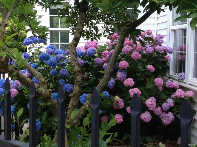 Godwin Tr 2 - Residential