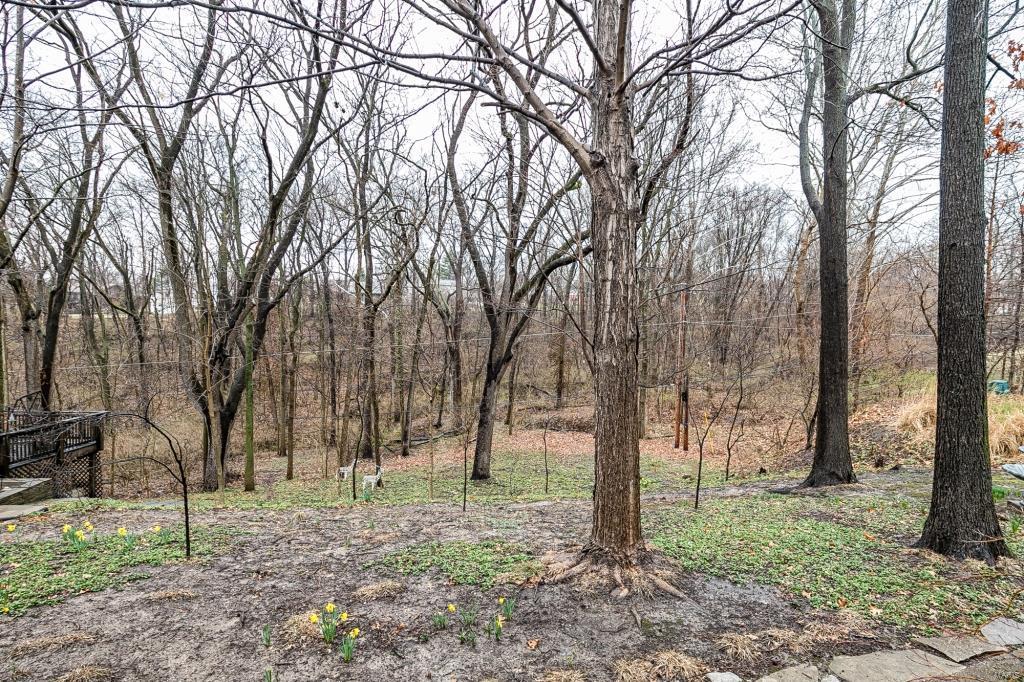 Ladue Park - Residential