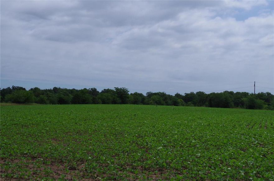 176 Acre “Development Tract” Troy, MO.  This 176 acre tract is adjacent to the City Limits of Troy, MO.  The acreage consists of 133 acres tillable and 43 acres wooded.  City sewer and water available.  Excellent for Residential, Commercial or Industrial Development.  

NEW ASKING PRICE: $3,168,000/$18,000 per acre