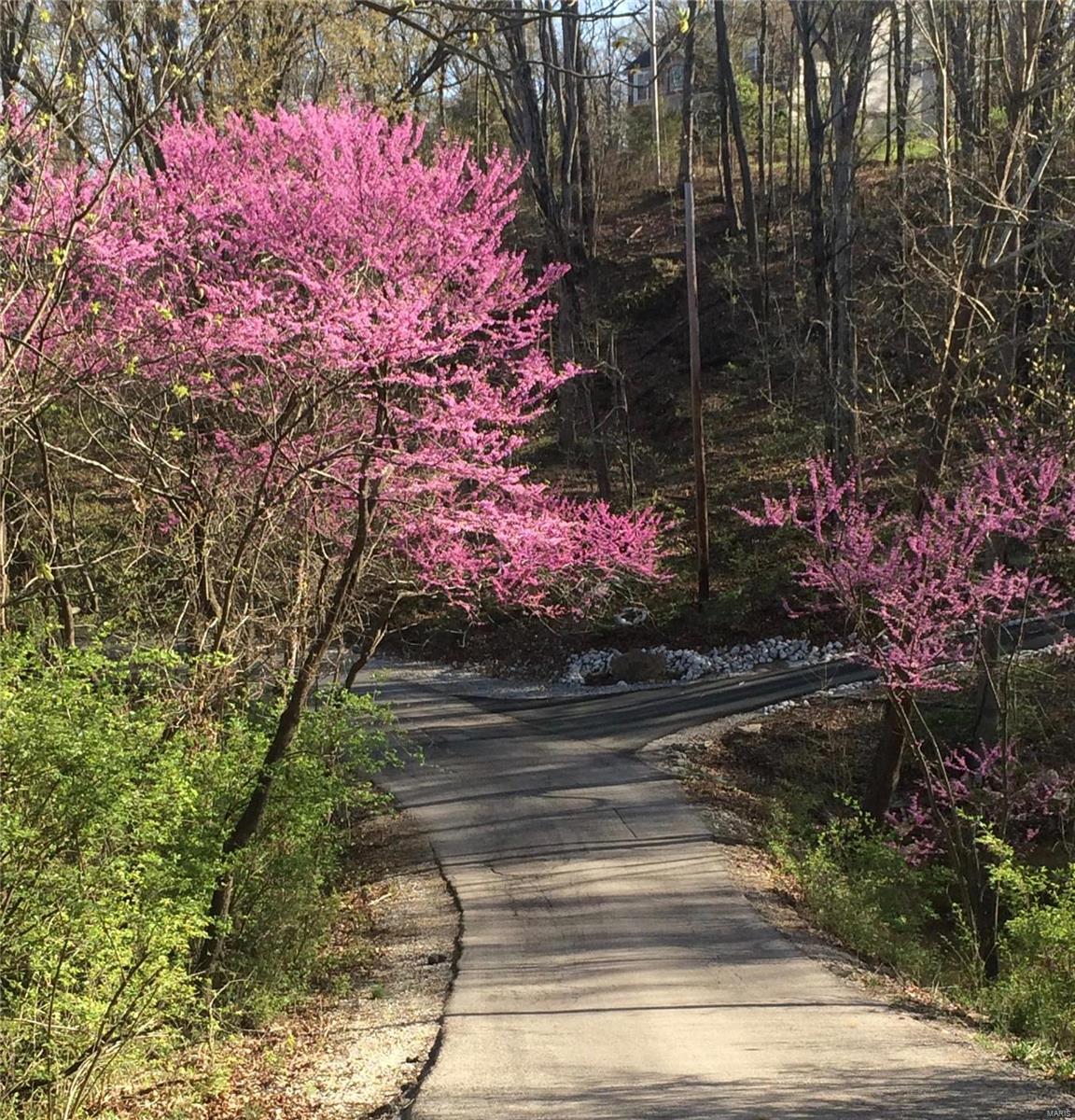 Cougar Trails - Residential