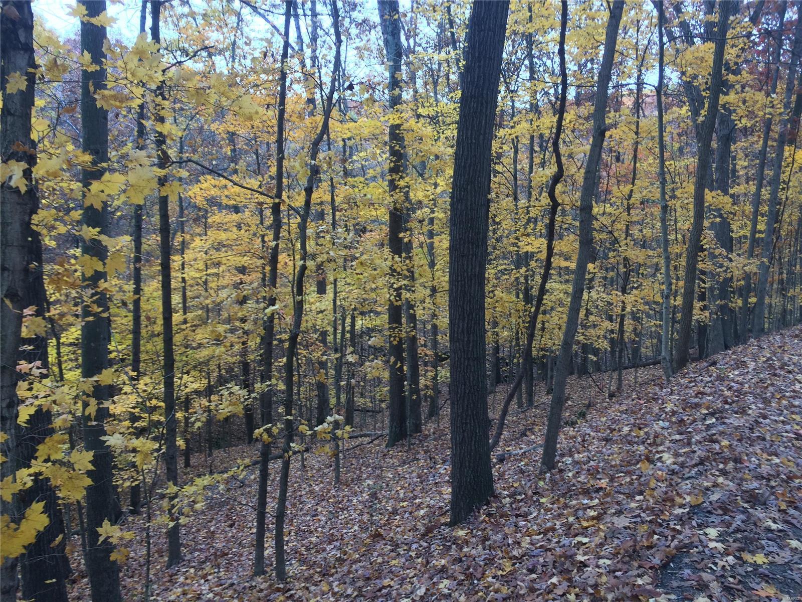 Cougar Trails - Residential