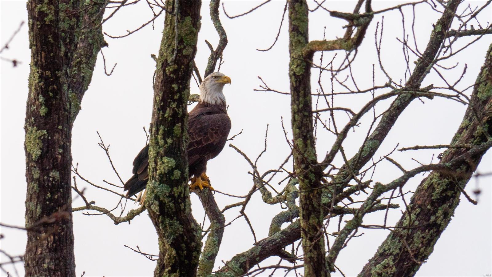 Port Perry #2 - Residential