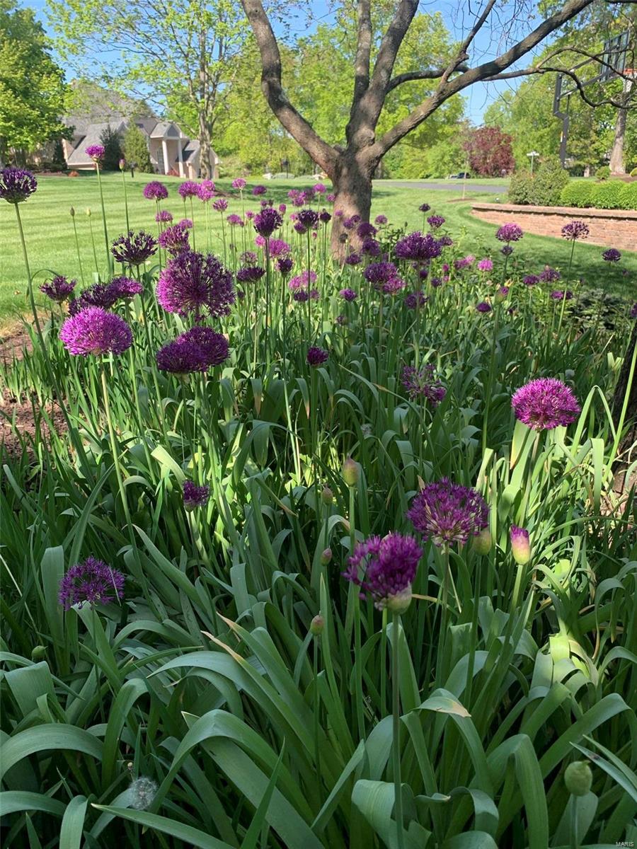 Kingspointe 1 - Residential