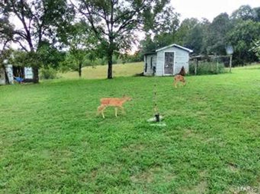 Newly surveyed 27 +/- acres about a mile from the Castor River, just outside of picturesque Marquand.  This beautiful property offers privacy and seclusion with the convenience of being just a mile outside of town.  With 8-10  acres of pasture, with electric already set up, there are several great choices to build your dream home, keep horses or cattle, or even move in a mobile.  With two all year creeks and plenty of woods (with some marketable timber) there is no shortage of wildlife.