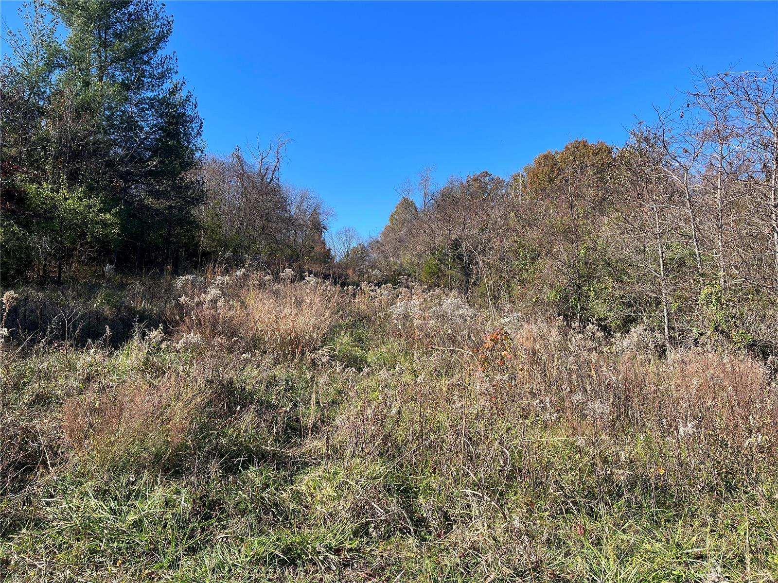7075 Metropolitan Boulevard